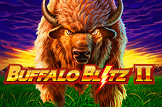 Buffalo Blitz 2